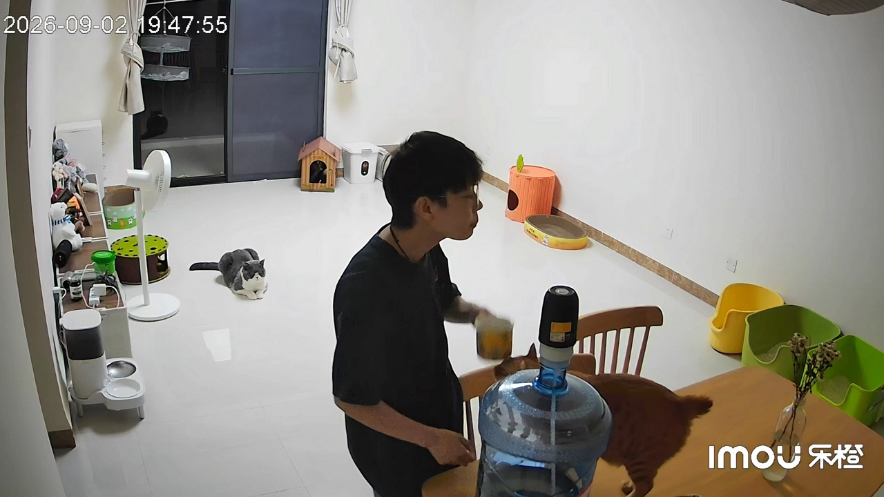 Man accidentally taps cat's head with cup in Guangxi