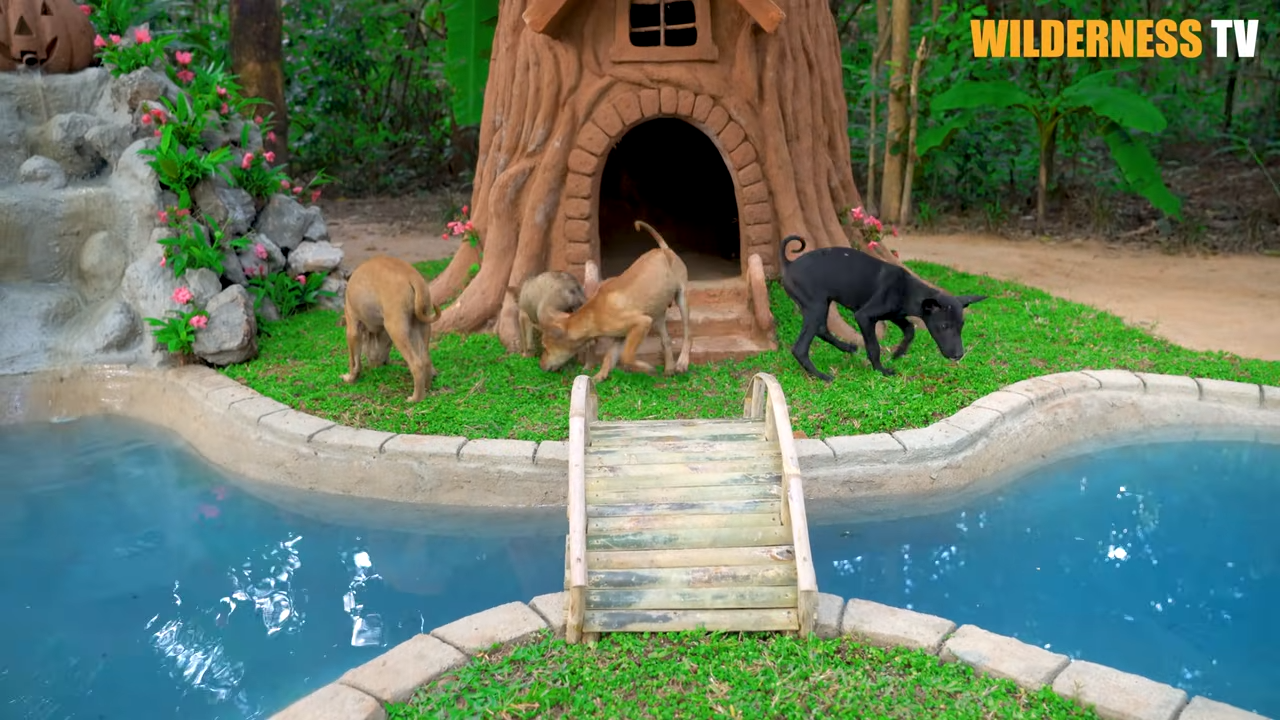 These tiny puppies had nothing – now they have a beautiful tree house ...
