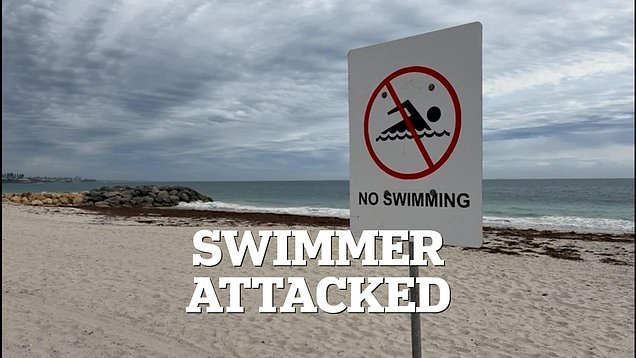 Swimmer feared dead in horror shark attack at popular beach