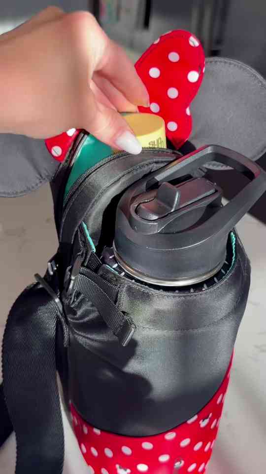 Disney Park Bag Must Haves Worth Packing Ahead