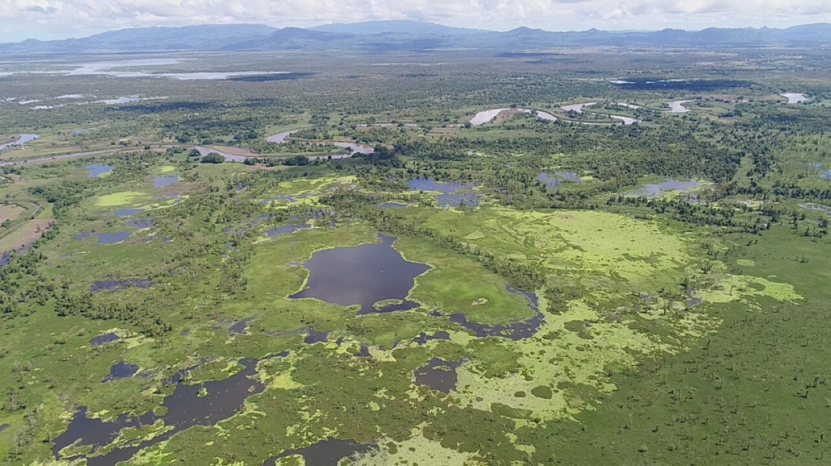 ASEAN launches 10-year road map to protect regional heritage parks