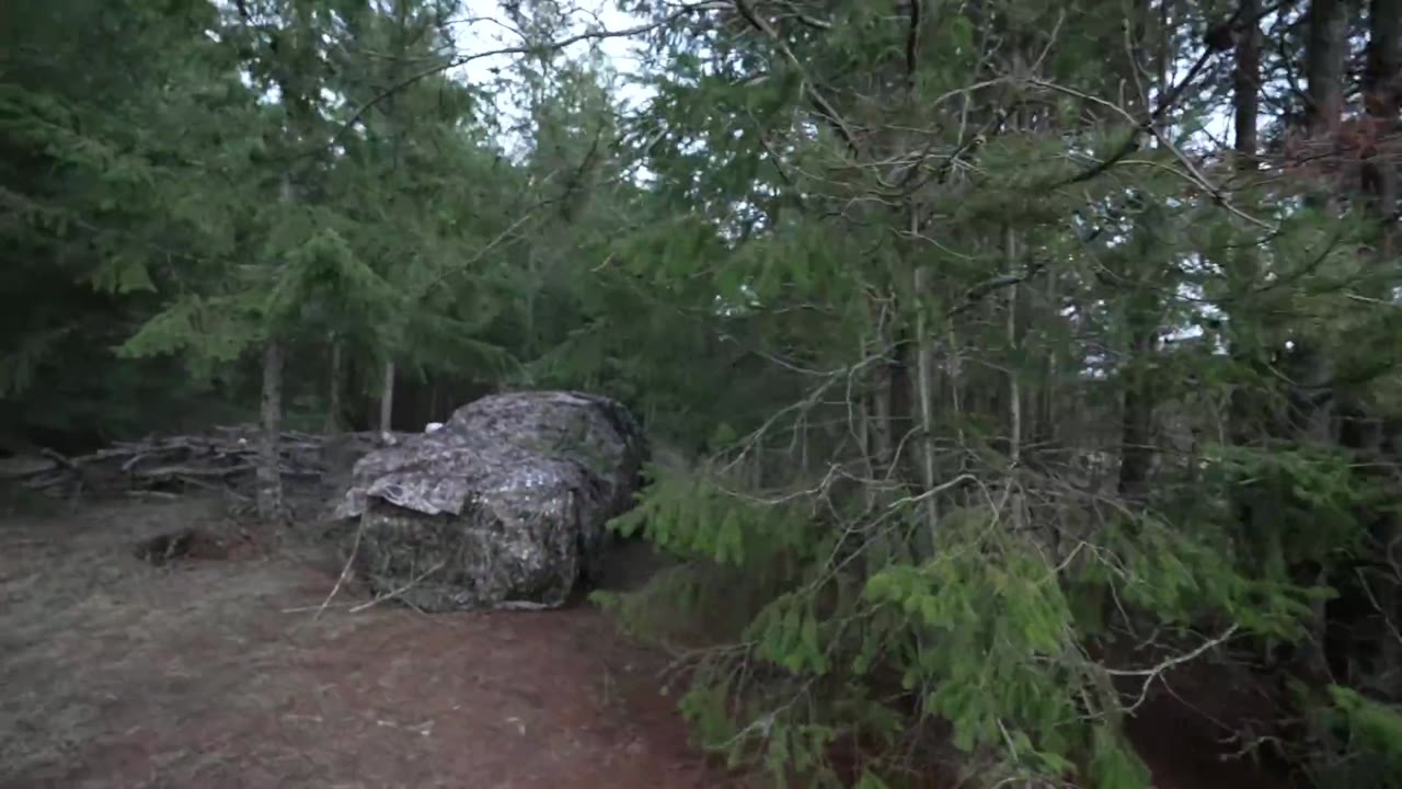 The trees around his hidden highway camp had been cut back about 8 feet ...