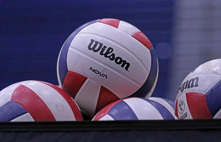 All-Cedar Run District boys/girls volleyball teams