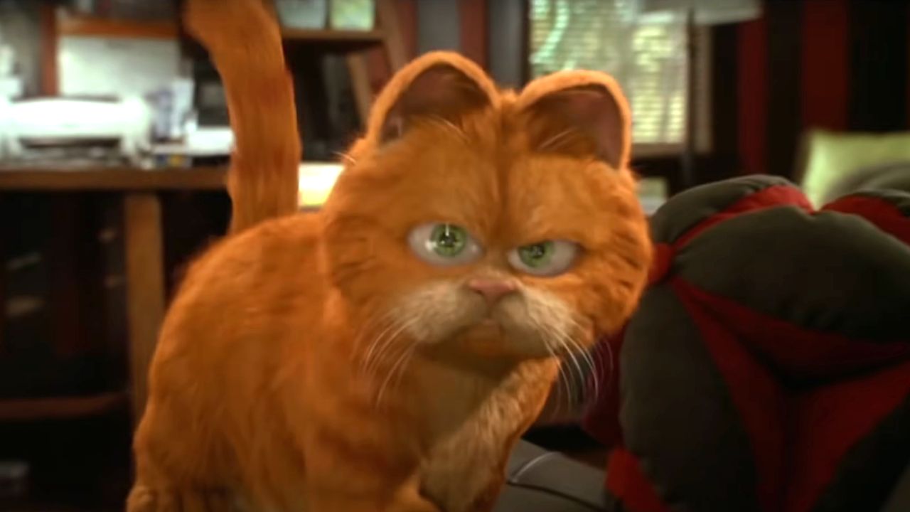 Amazing cats in Hollywood history
