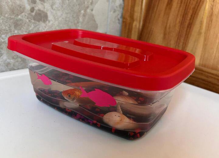 Basic goldfish care: My 3rd grader came home with what?