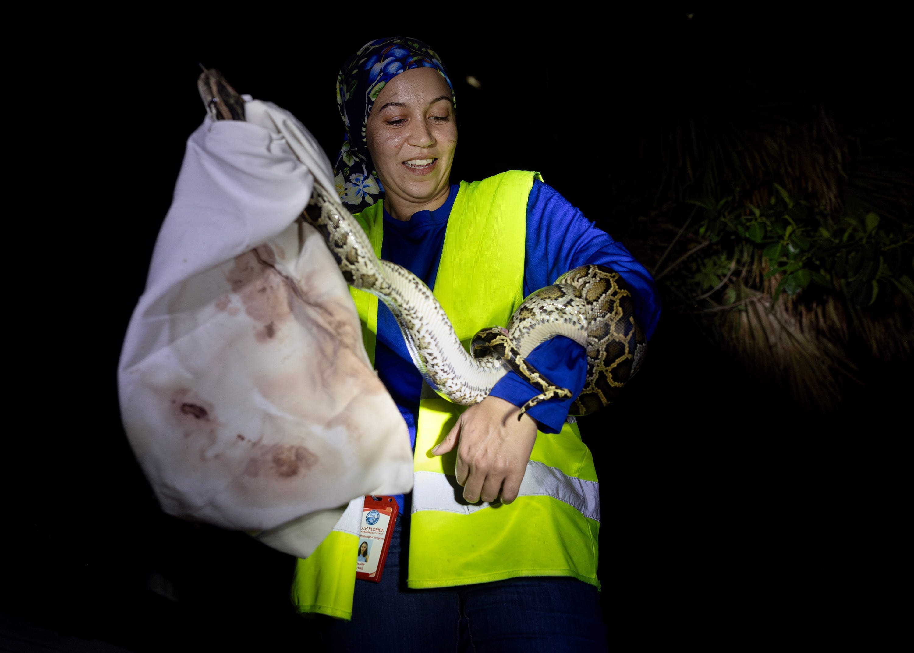 New tool could help Burmese python hunters prioritize snakes for removal