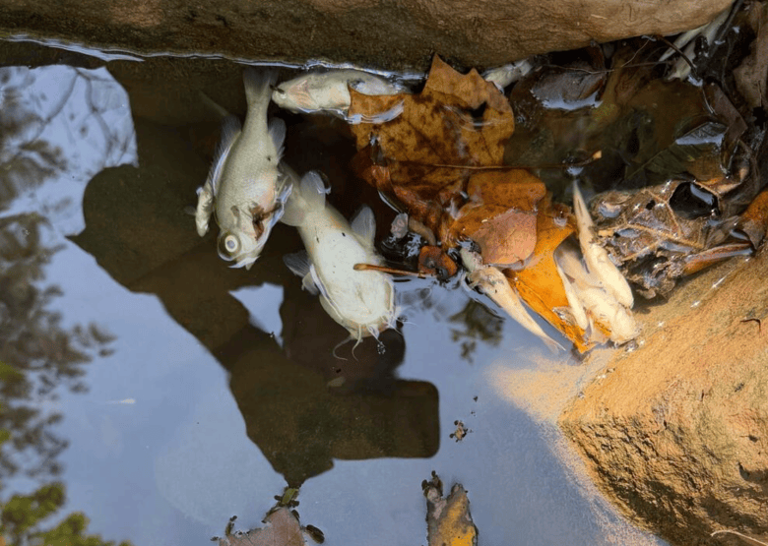 ‘We just want the problem fixed’ after Atlanta airport’s ‘major spill ...