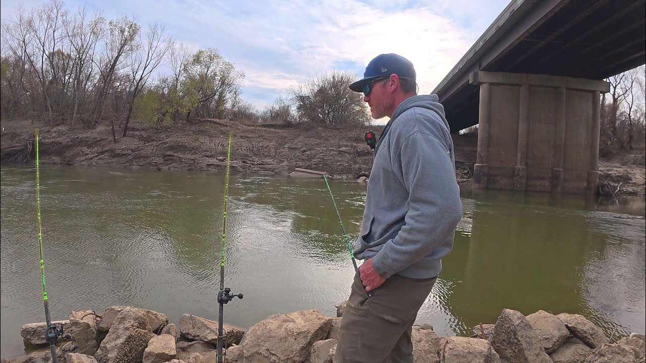 Huge fish are hiding under this bridge
