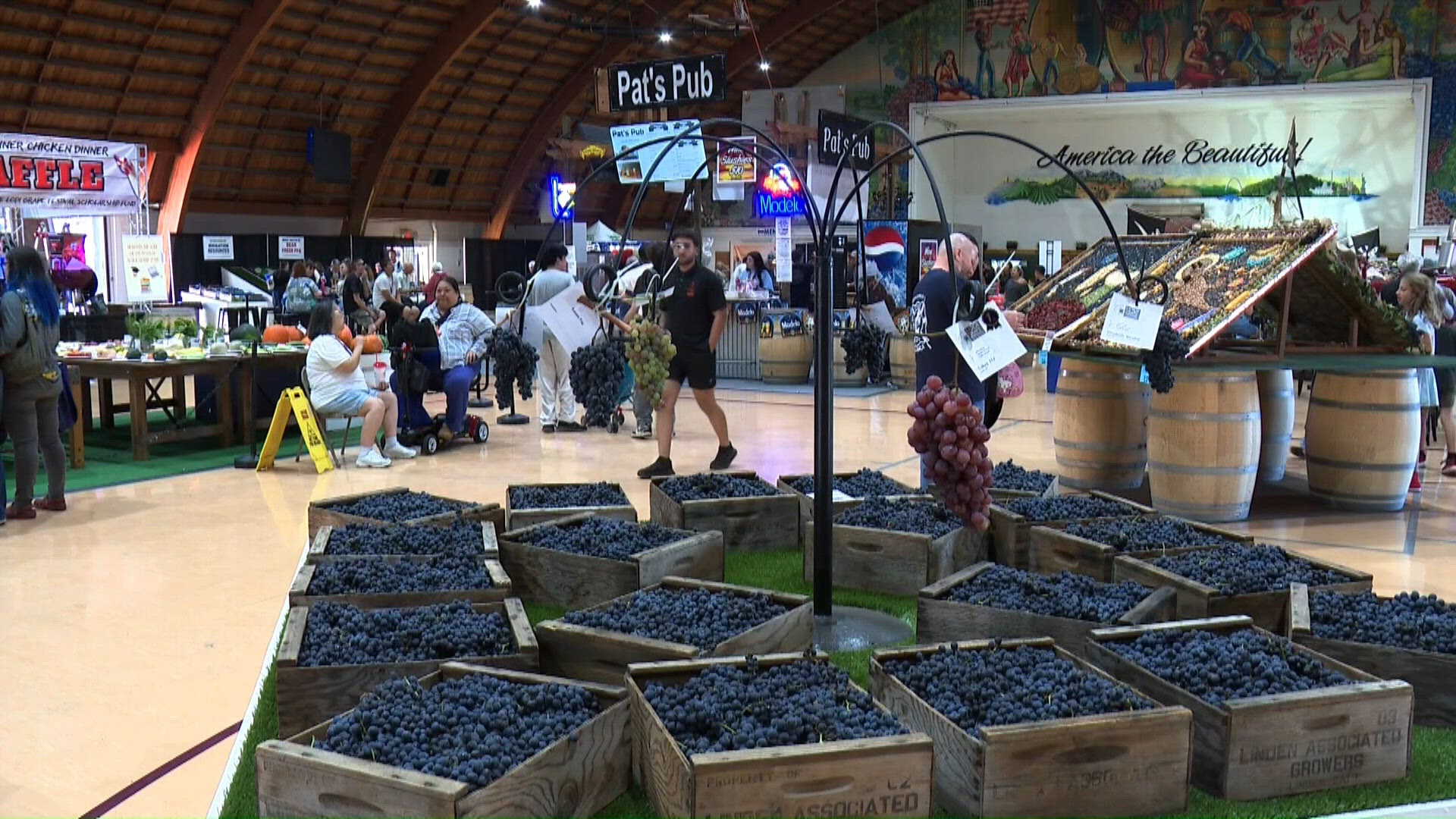 Bring two cans and get $2 admission at Lodi Grape Festival