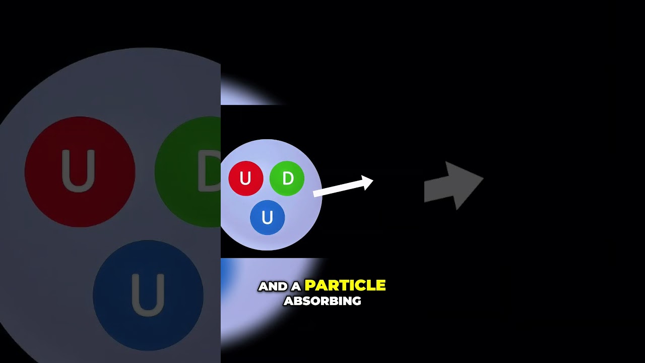 Why is the transforming ability of the weak force called a "force?"