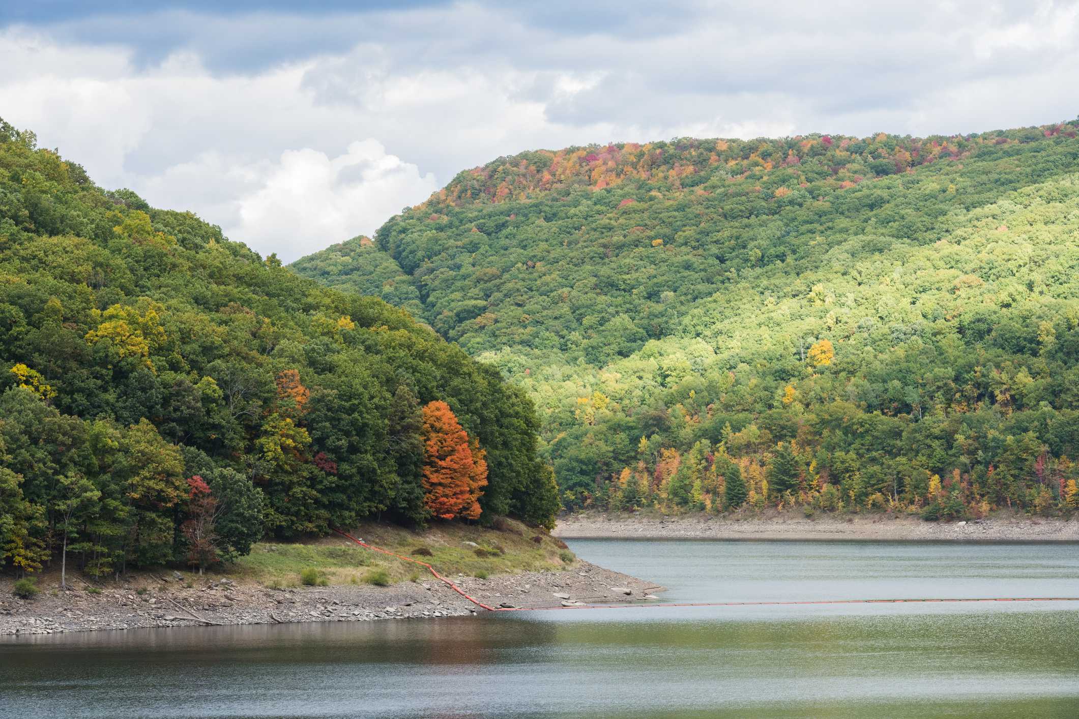 Explaining the 'roadless rule' in nat'l forests | Why it could go away
