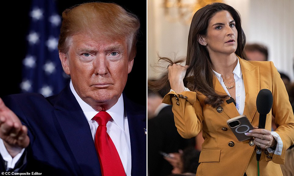 Trump says he has banned CNN, MSNOW and Politico from White House