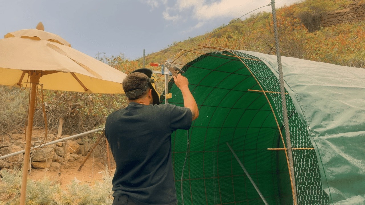 Cómo construir un gallinero casero paso a paso | DIY gallinero para pollos
