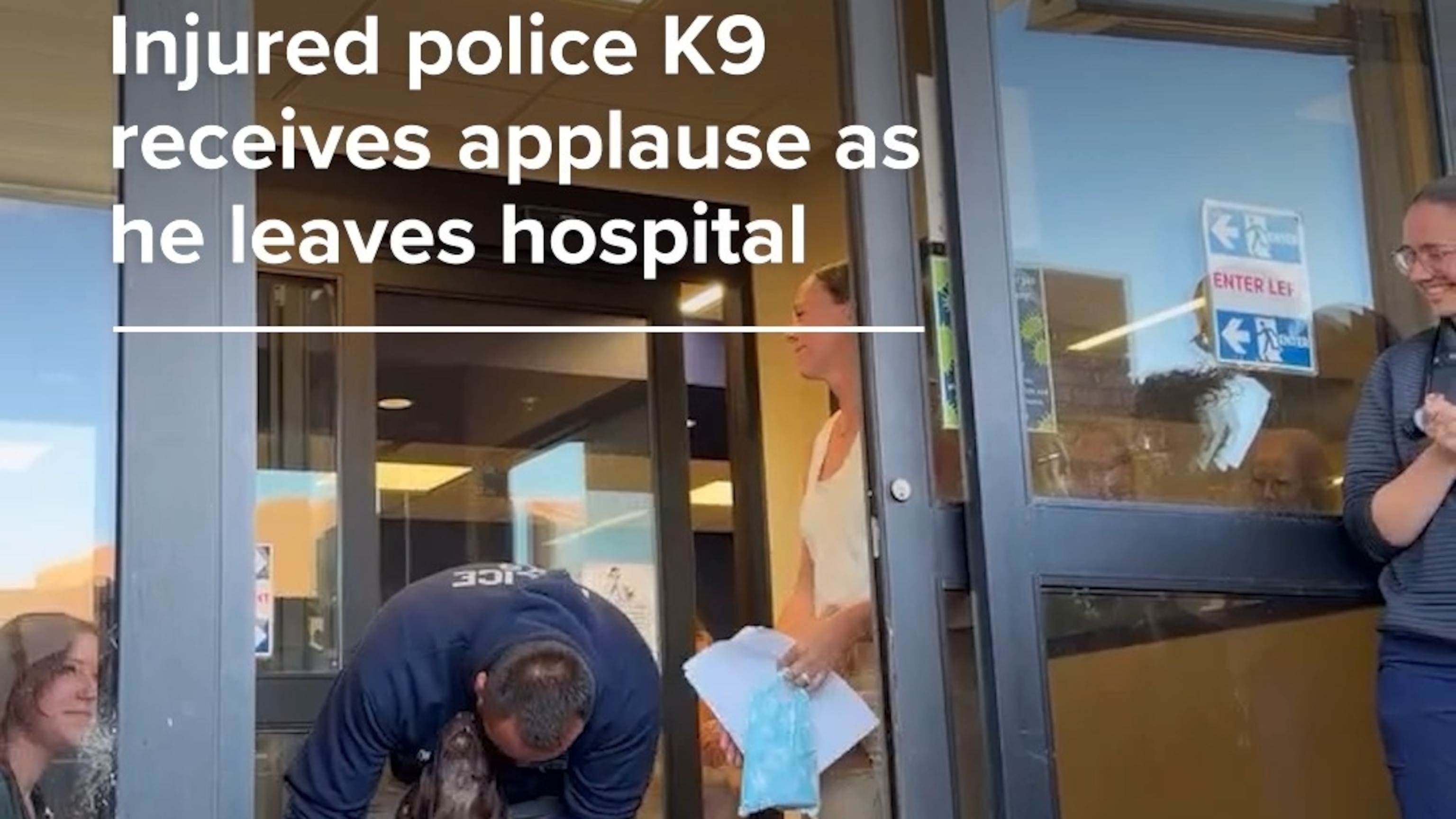 Injured police K9 receives applause as he leaves hospital