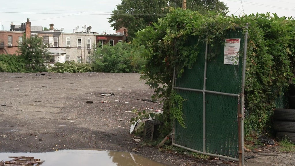 NY leaders hope to protect historic African burial ground in Queens