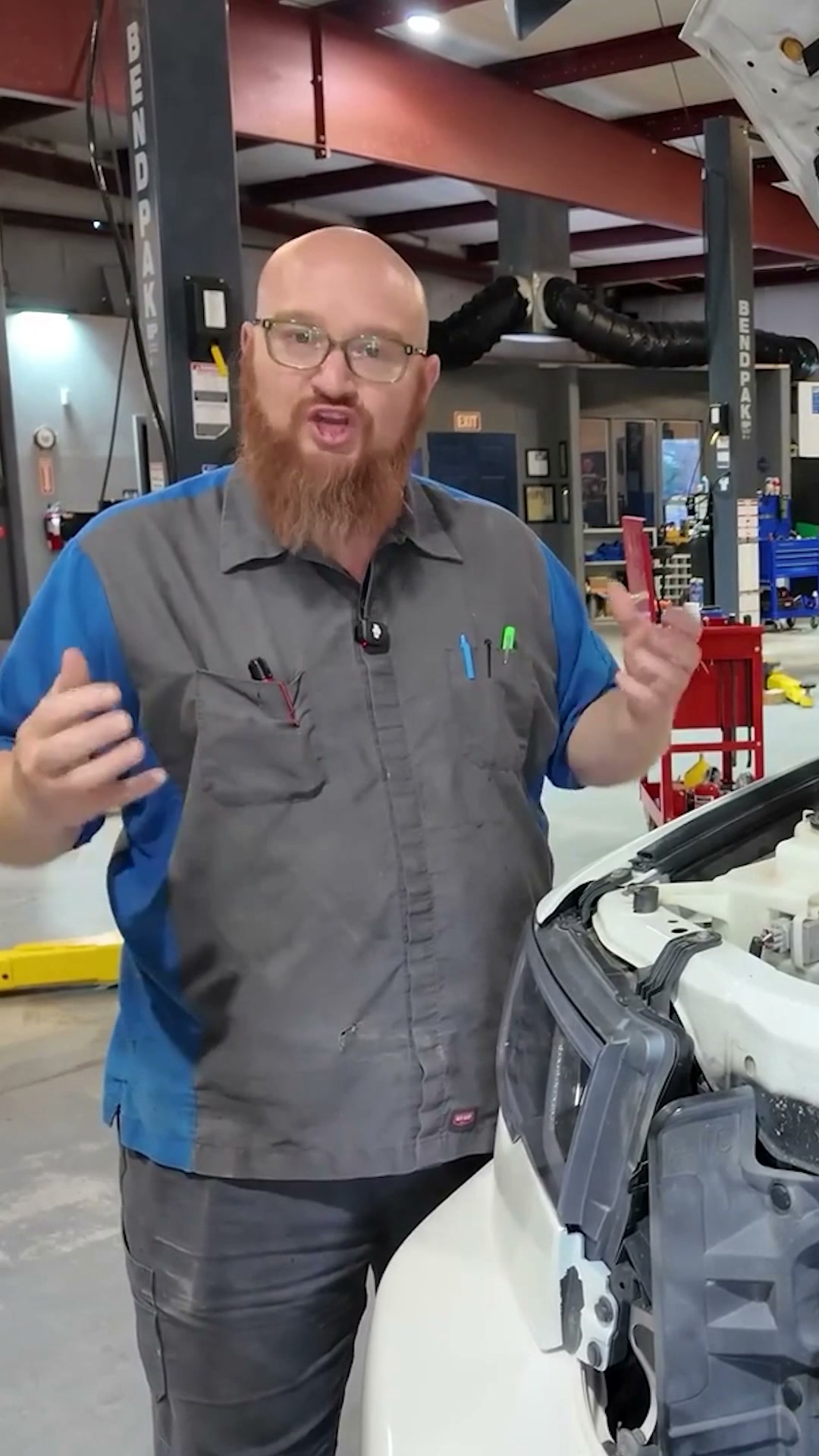 Mouse nest found under the hood