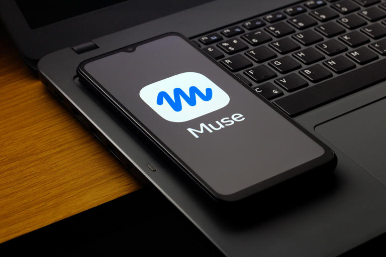 Meta's AI assistant can manage your life, but expert urges caution