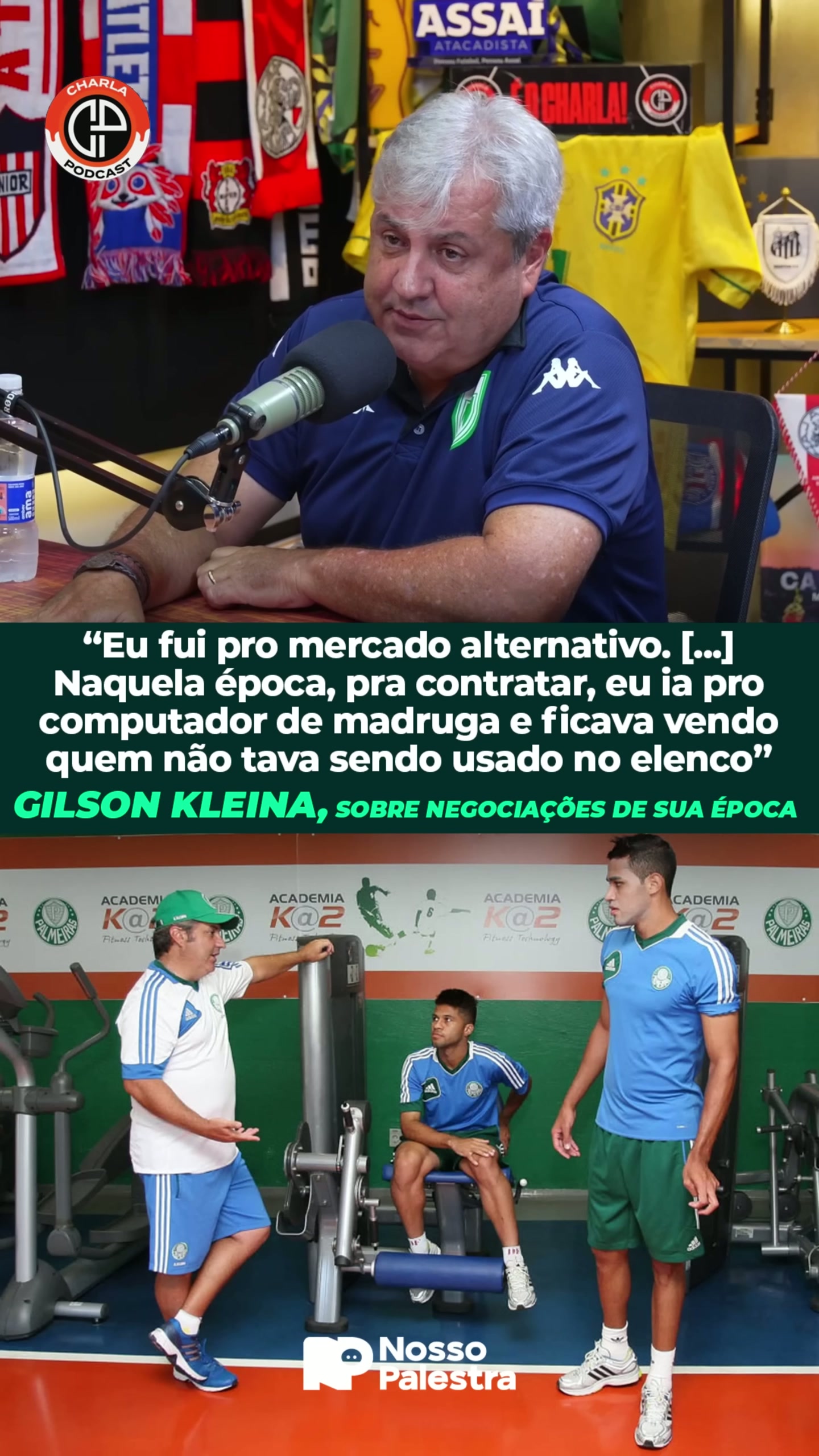 Veja o que Gilson Kleina falou sobre sua passagem no Palmeiras no ...