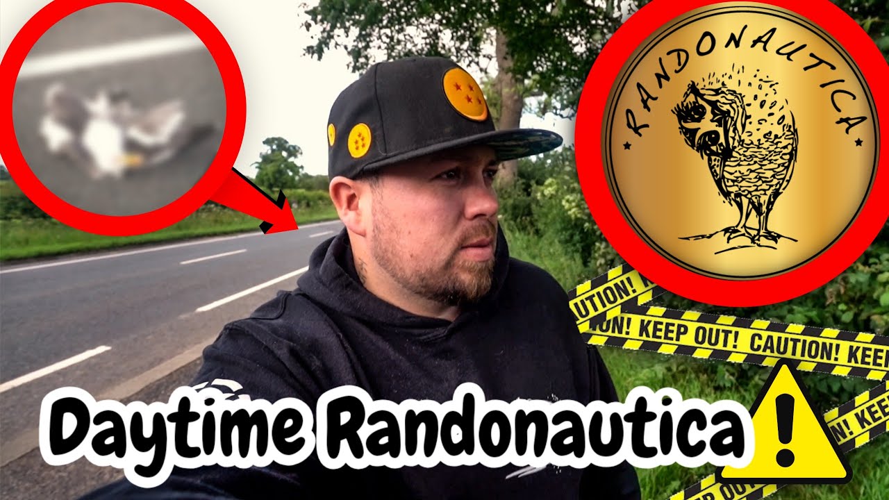 Why did Randonautica show me this... it's getting weird