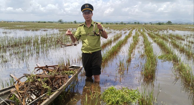Gỡ 47 bẫy kẹp săn chim, phát hiện nguy cơ rình rập người đi đồng