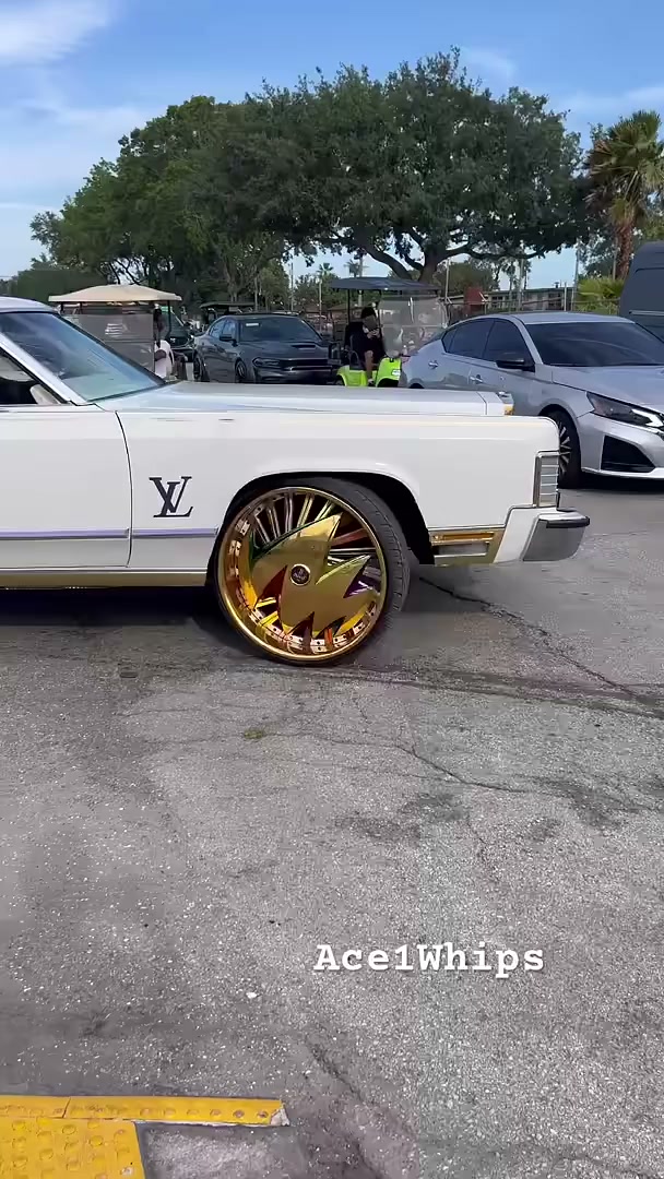 Lincoln on 28” DUB floaters riding