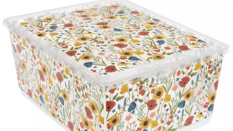 Hobby Lobby’s ‘cute and useful’ $7 find keeps pet essentials neat and ...
