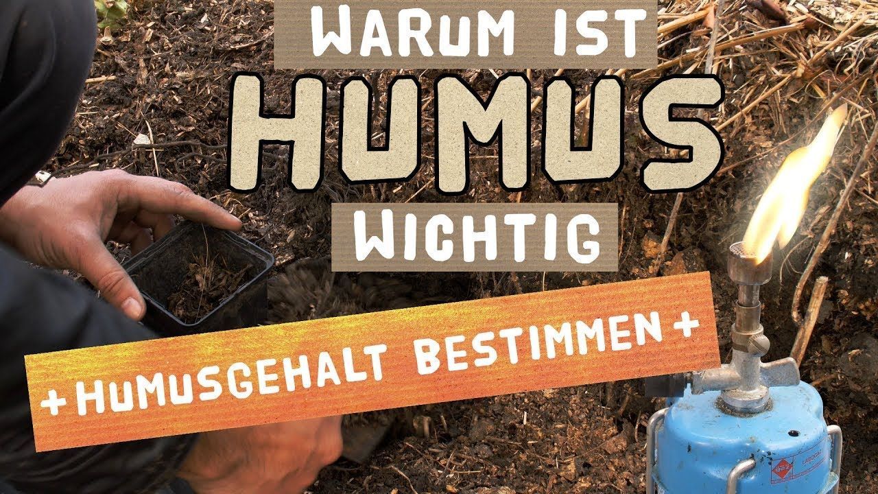 Humus im Gartenboden - Humusgehalt ermitteln