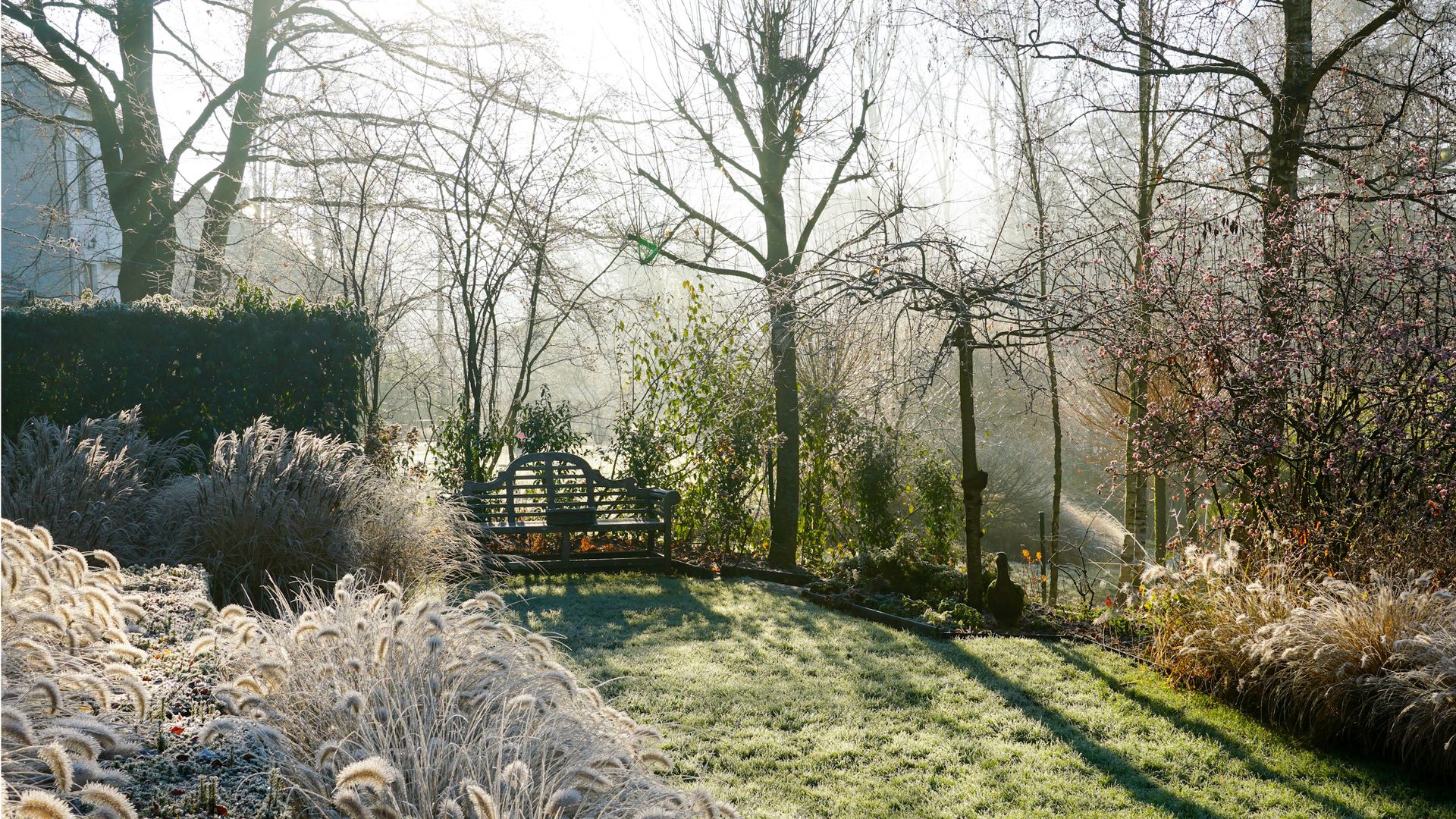 The only tools you need to winterize your yard this fall: Prepare for ...