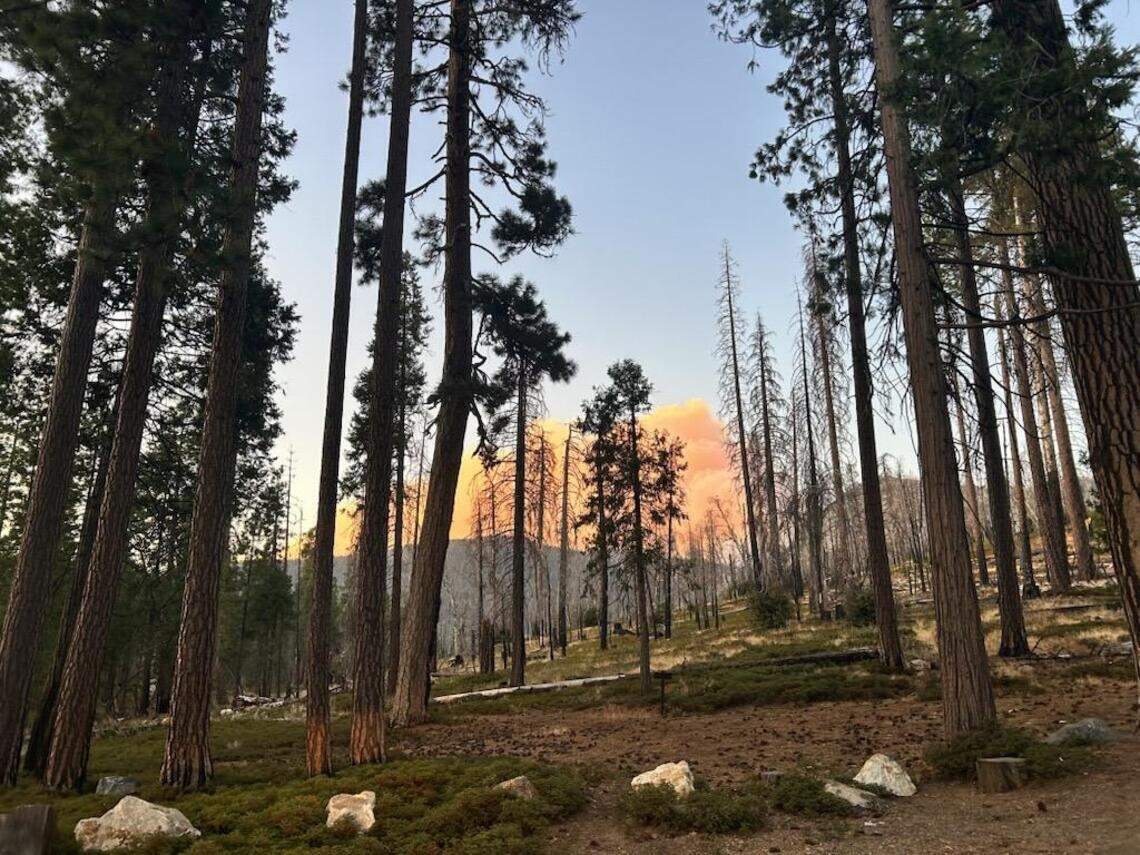 Wildfire continues to burn in Yosemite. Are park officials downplaying ...