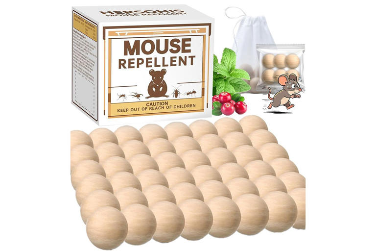 This 66-cent hack keeps mice and rats out of your kitchen without ...