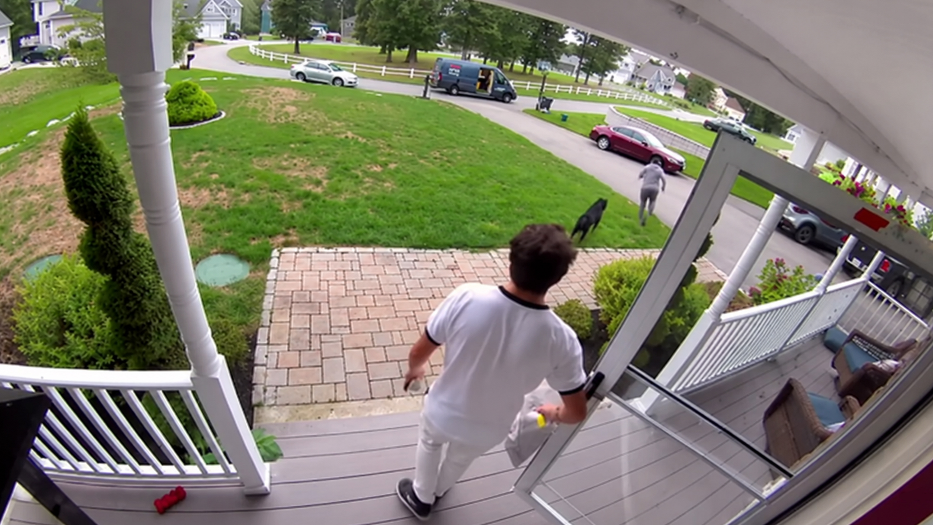 Neighborhood dogs putting deliveries on hold