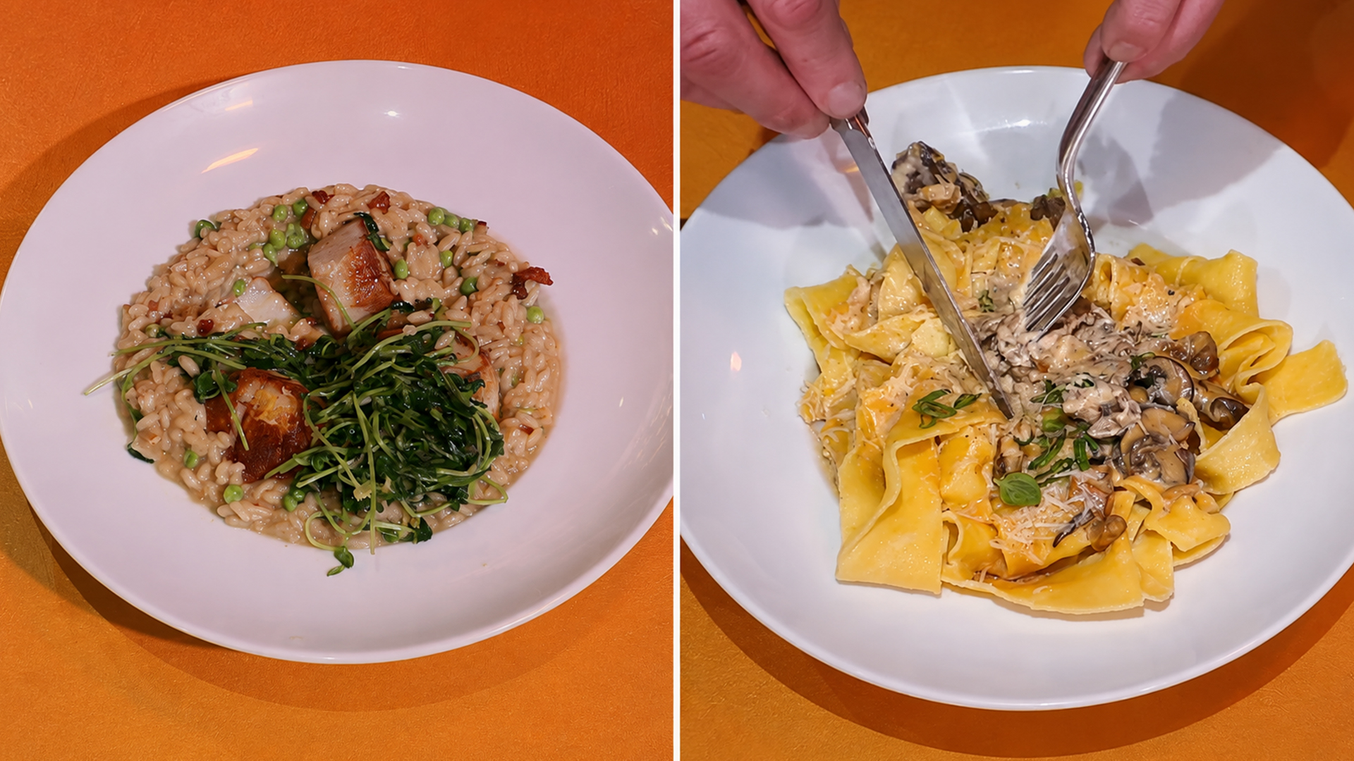 These chefs start strong with dishes Chef Ramsay praises