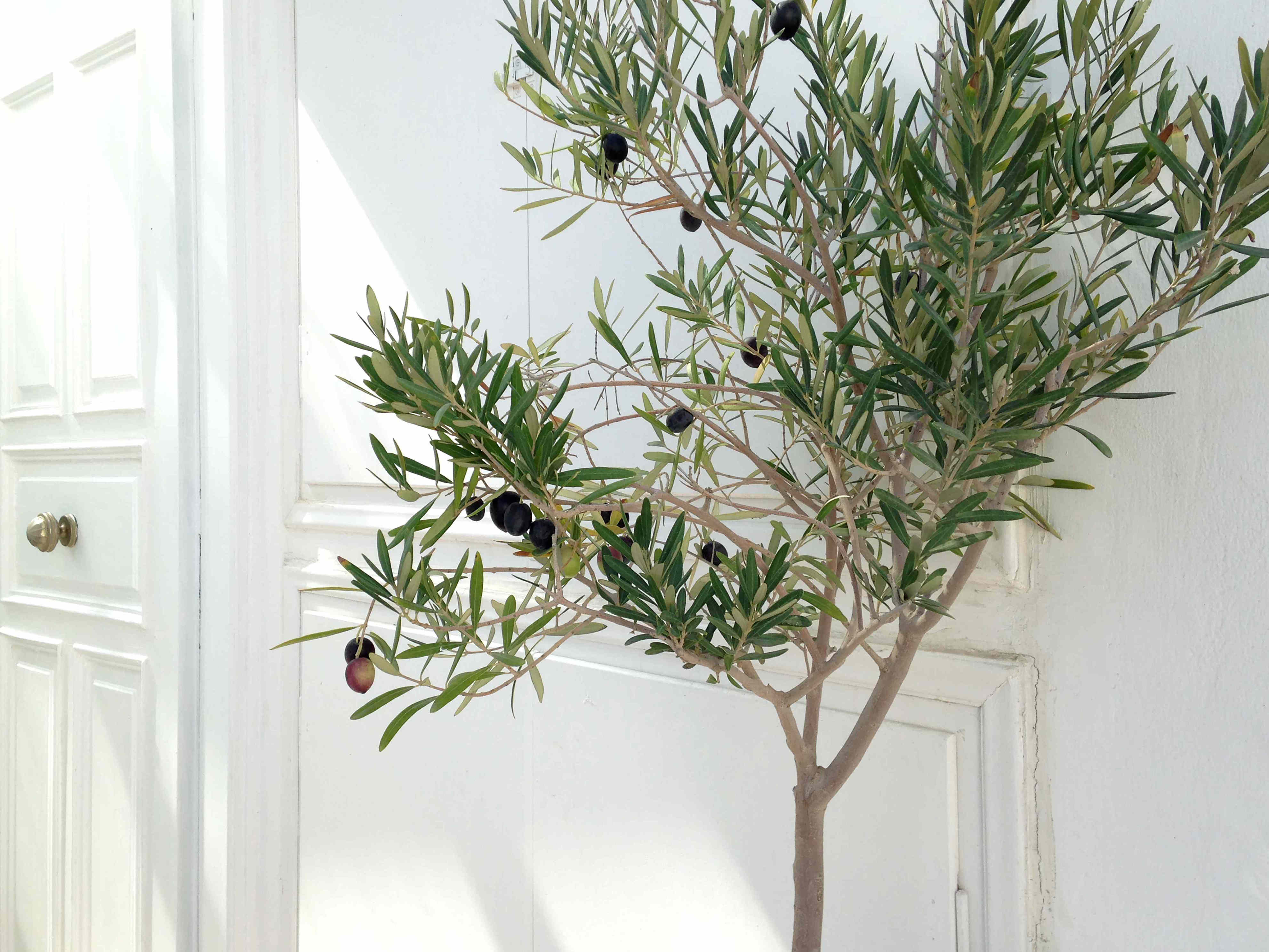 7 outdated decor items designers are begging you to replace in 2027—and ...
