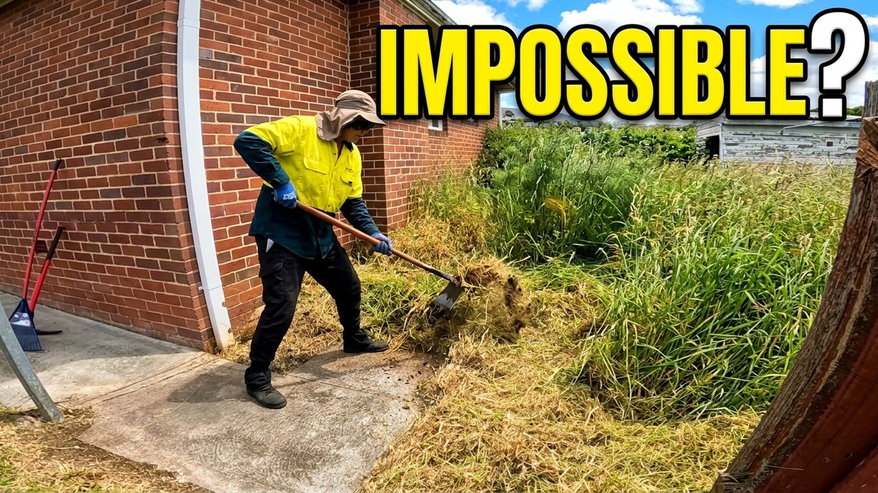 She said there was a path under all that!