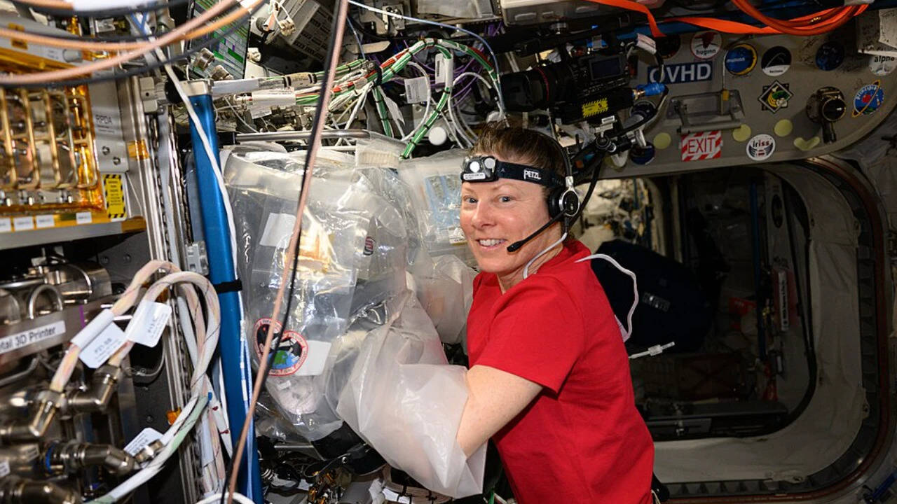 Space bioprints human meniscus: NASA tests microgravity tissue printing ...