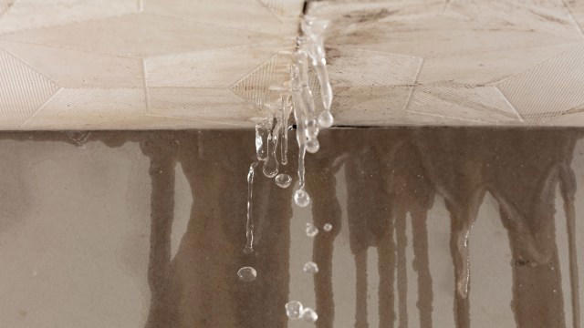 Florida homeowners can tap new repair fund for leaks, faulty wiring ...