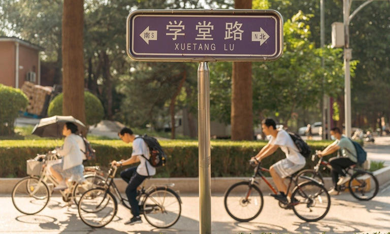 Vietnamese student gives up Western plans to follow his sister to ...