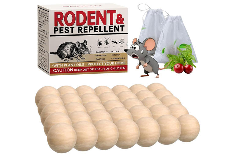 This 66-cent hack keeps mice and rats out of your kitchen without ...