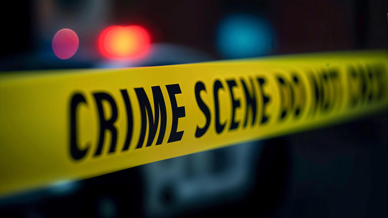 Person killed after large tree collapses onto Flagler Drive home