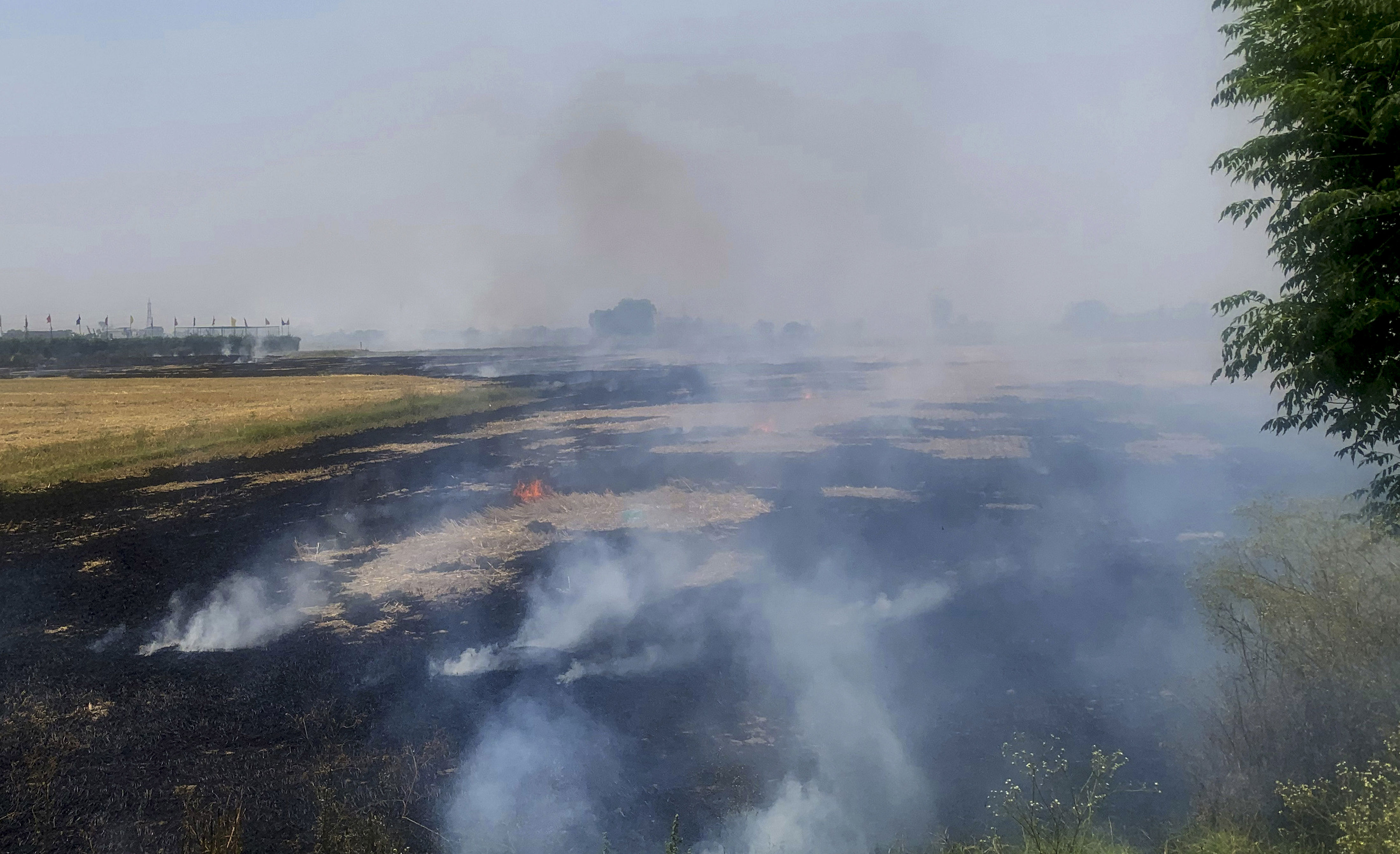 CAQM reviews air pollution control measures in Punjab, Haryana; focus ...