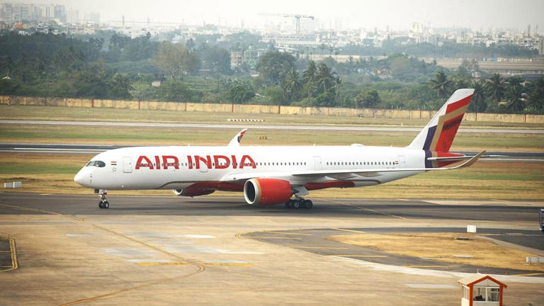 Air India flight from Mangaluru suffers bird hit at Mumbai airport ...