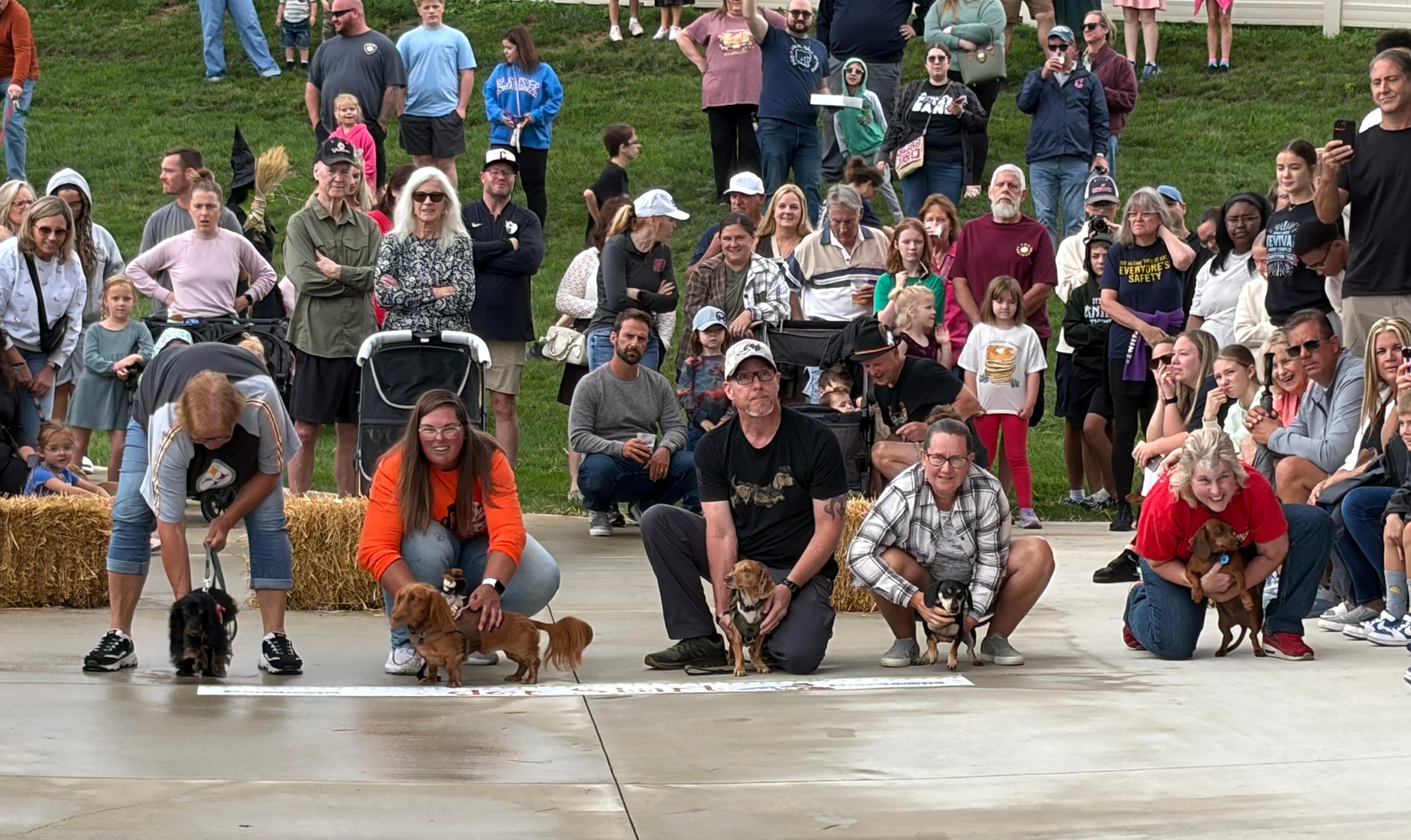 Run, dachshunds, run. Eleven participate in 2026 Oktoberfest race