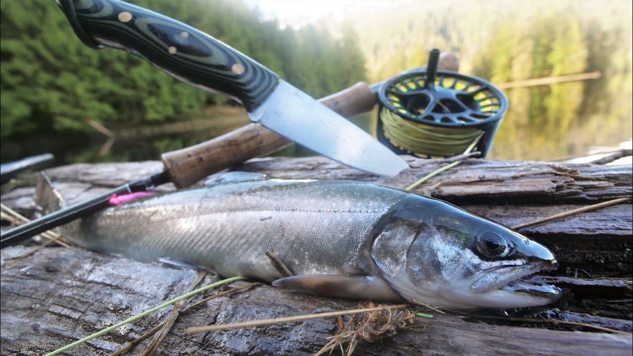 Cooking the most pristine trout in a hidden gem