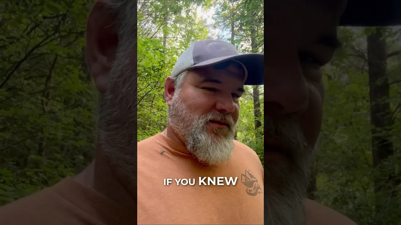 How to identify an ash tree | MADBUC tree identification