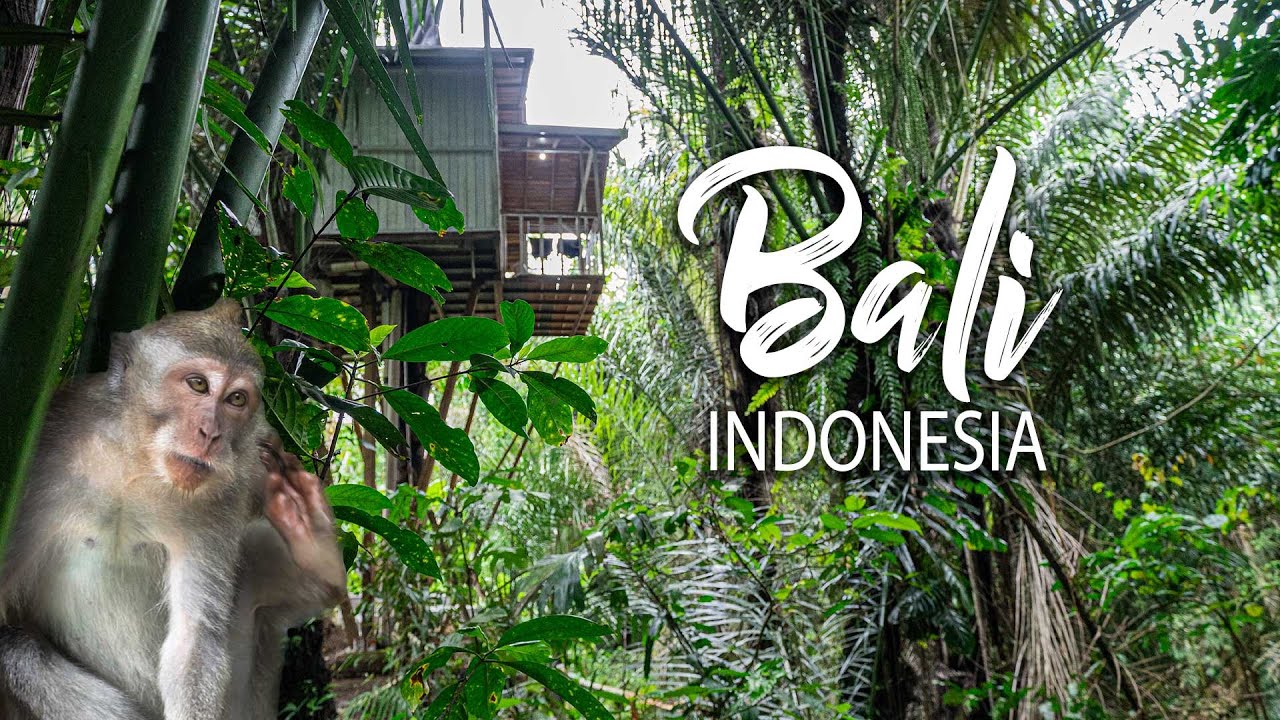 Sleeping in a Bali jungle? (Ubud treehouse experience)