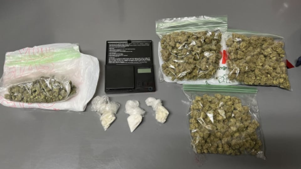 Driver who ran stop sign near local school bus stop had drugs in the ...