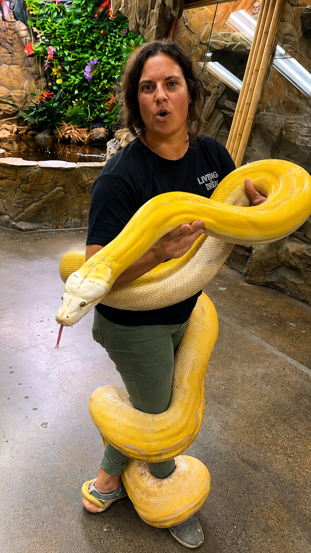 This beautiful giant reticulated python is hard to ignore