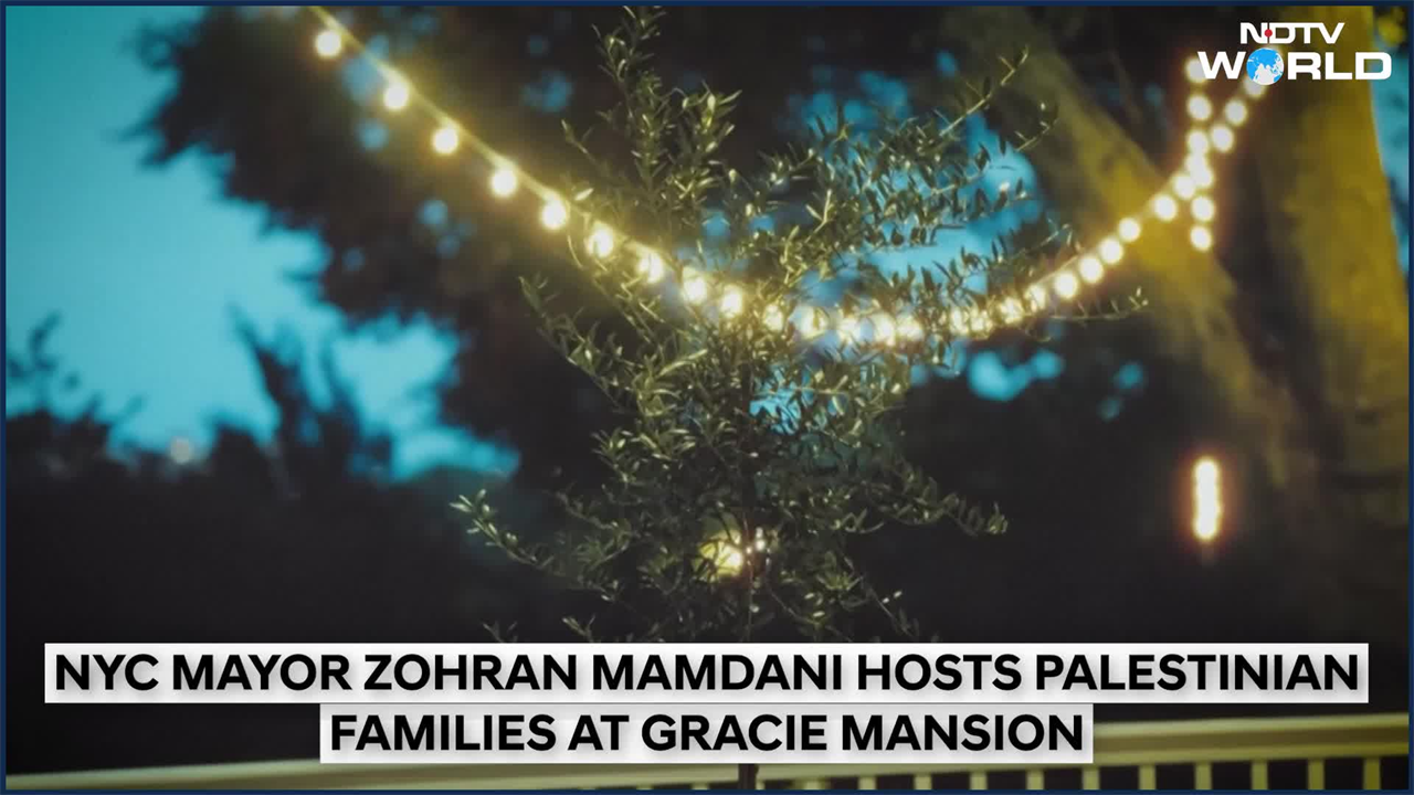 NYC mayor Zohran Mamdani hosts Gaza families, plants olive tree as ...