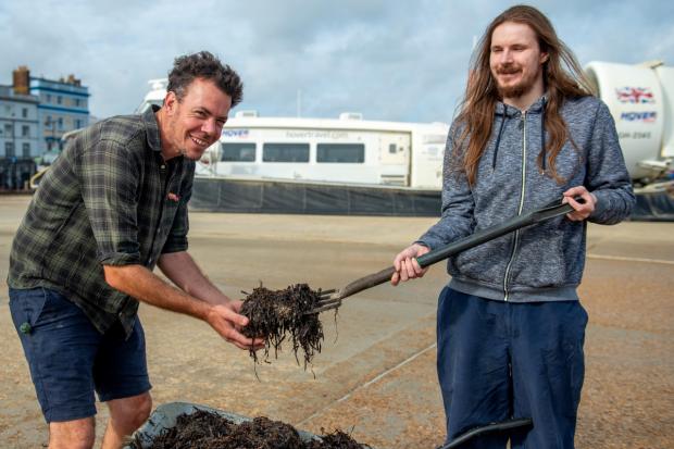 Seaweed from Ryde Hoverport getting put to good use