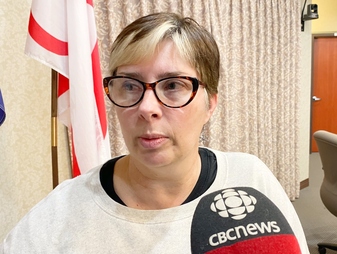 Some local leaders see opportunity in proposal for Nova Scotia's first ...